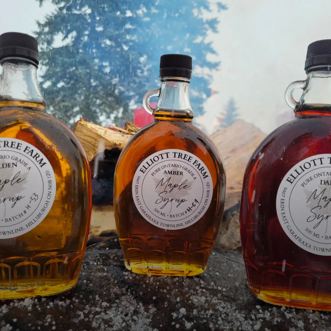 2026 Maple Syrup Experience