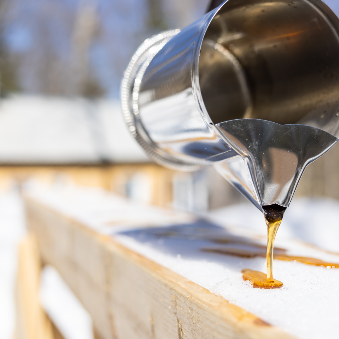 2025 Weekend Maple Sugarbush Experience Tour and Tasting