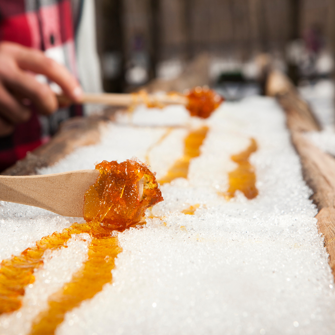 Weekend Maple Sugarbush Experience Tour and Tasting
