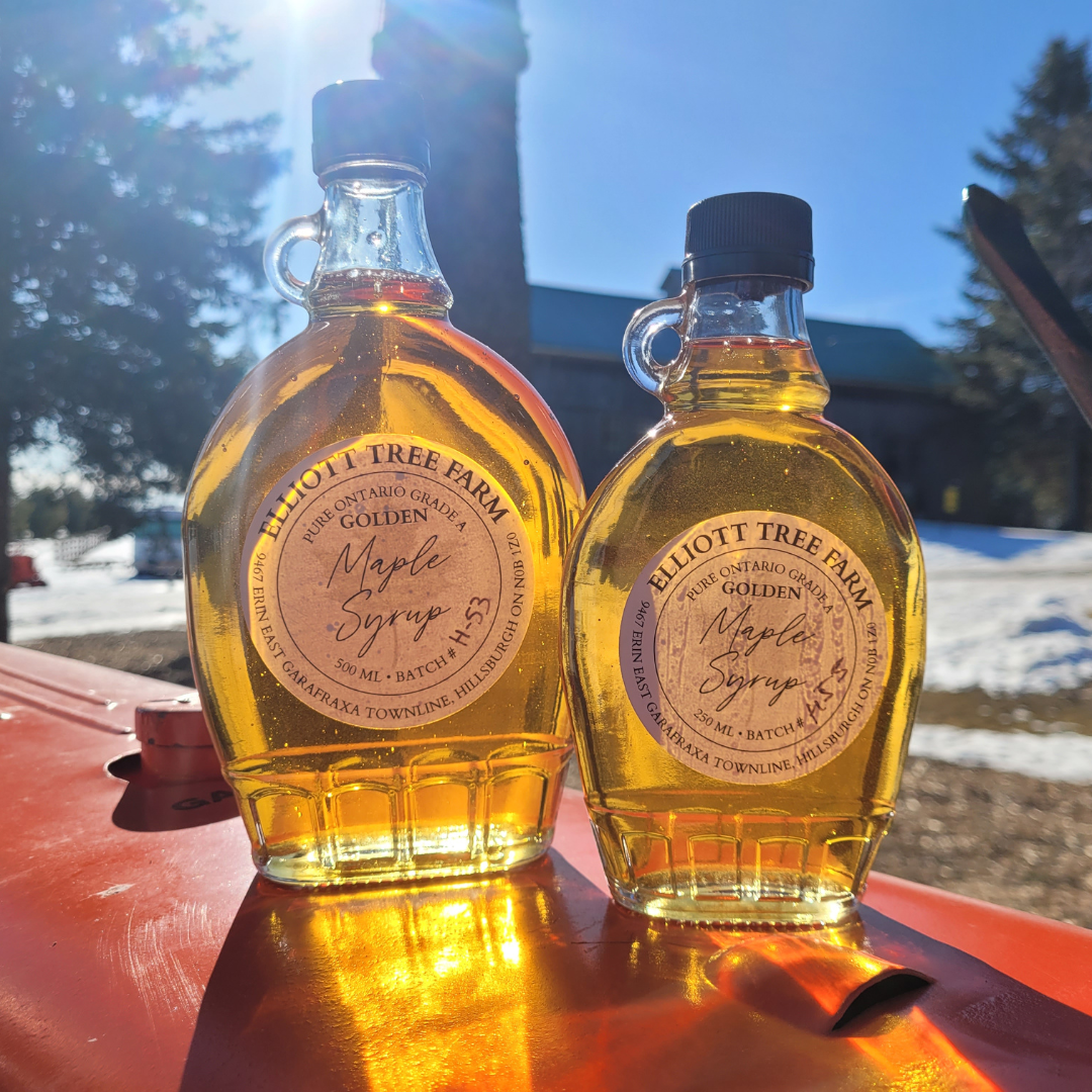 2026 Maple Syrup Experience