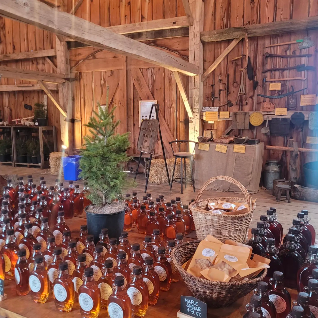 2026 Maple Syrup Experience