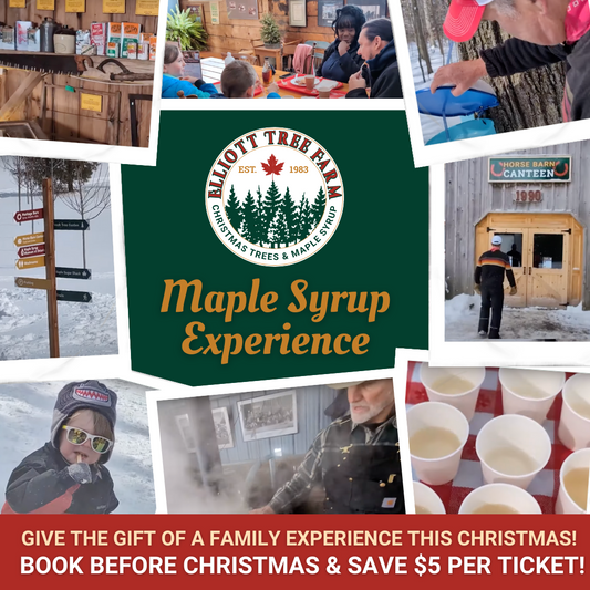 2026 Maple Syrup Experience