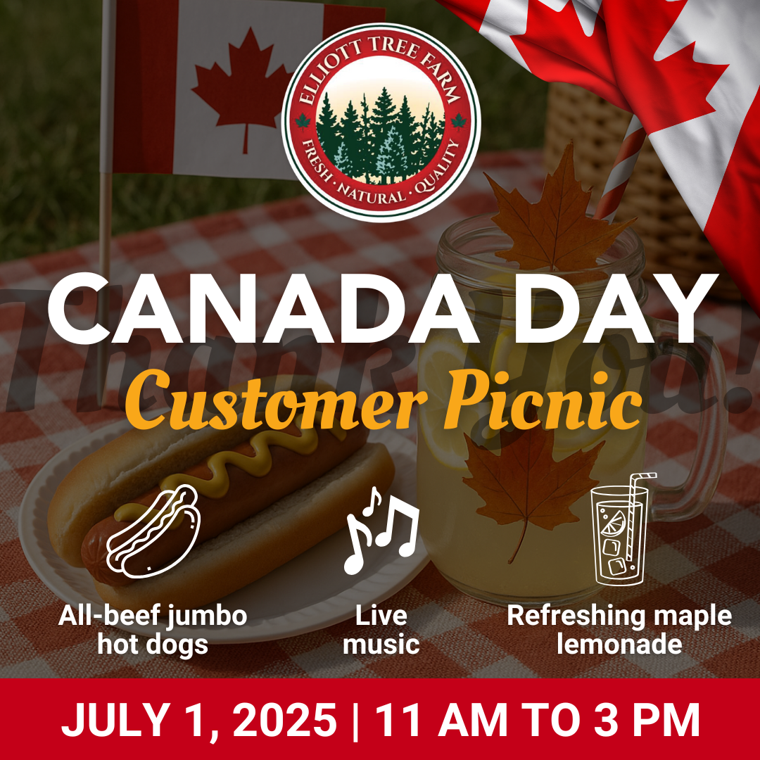 Canada Day Customer Picnic