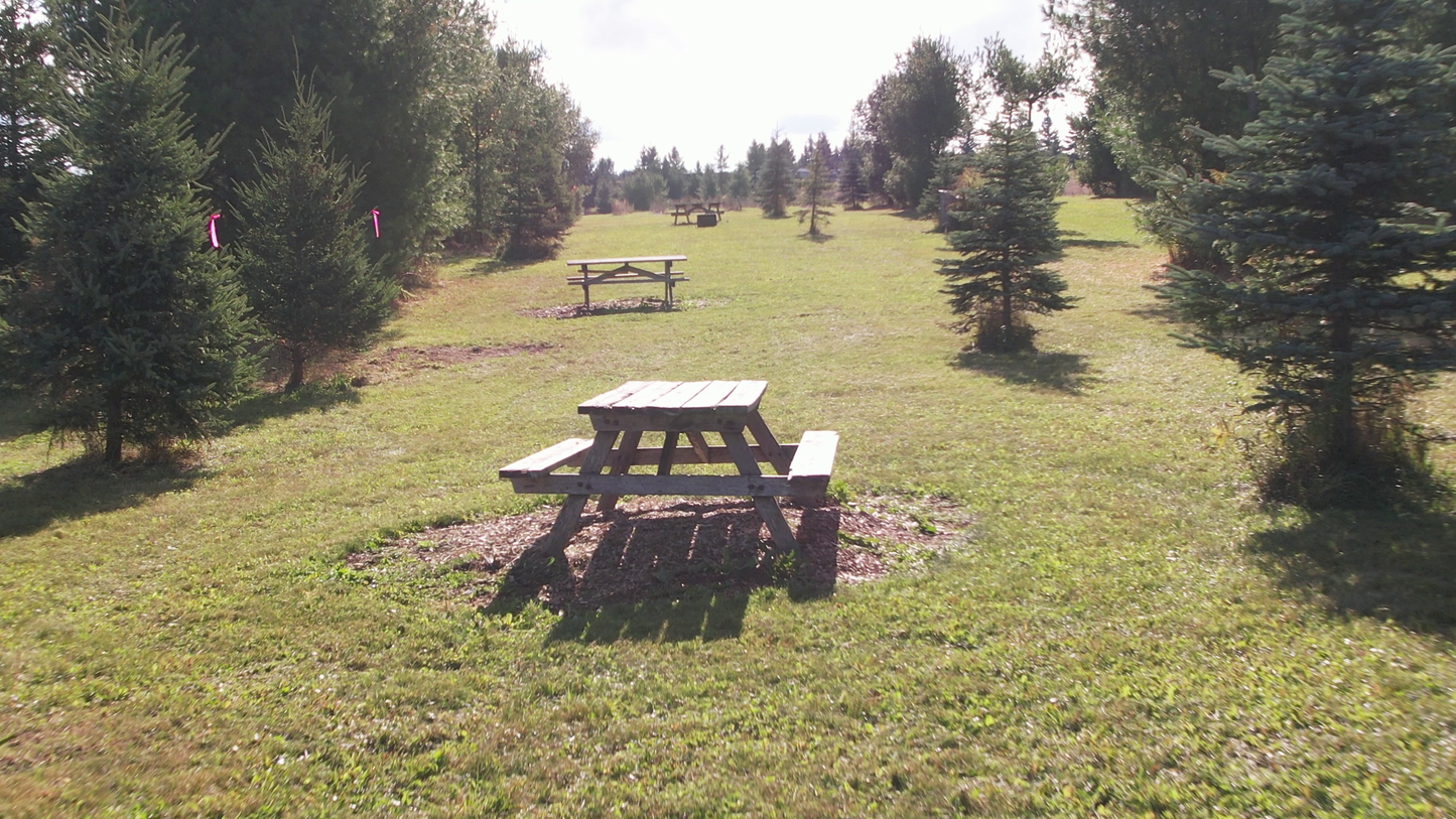 Canada Day Customer Picnic