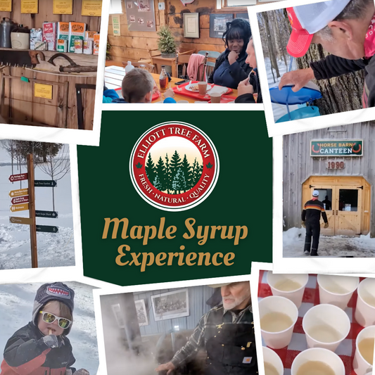 2025 Maple Syrup Experience