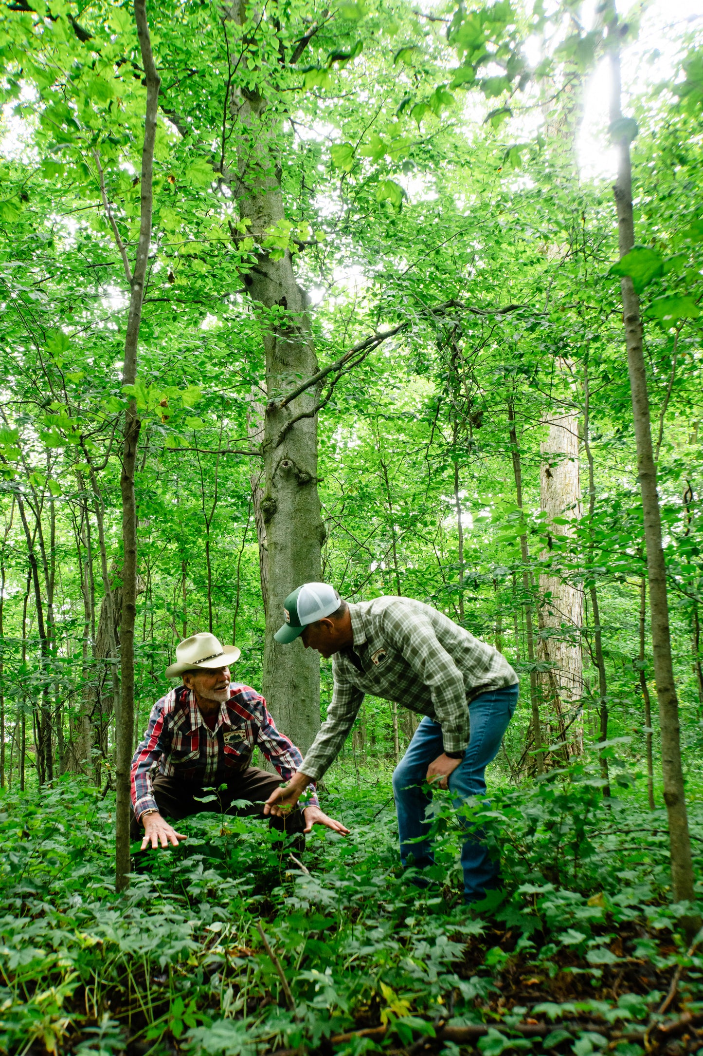 Maple Syrup Farm Experience & Tasting