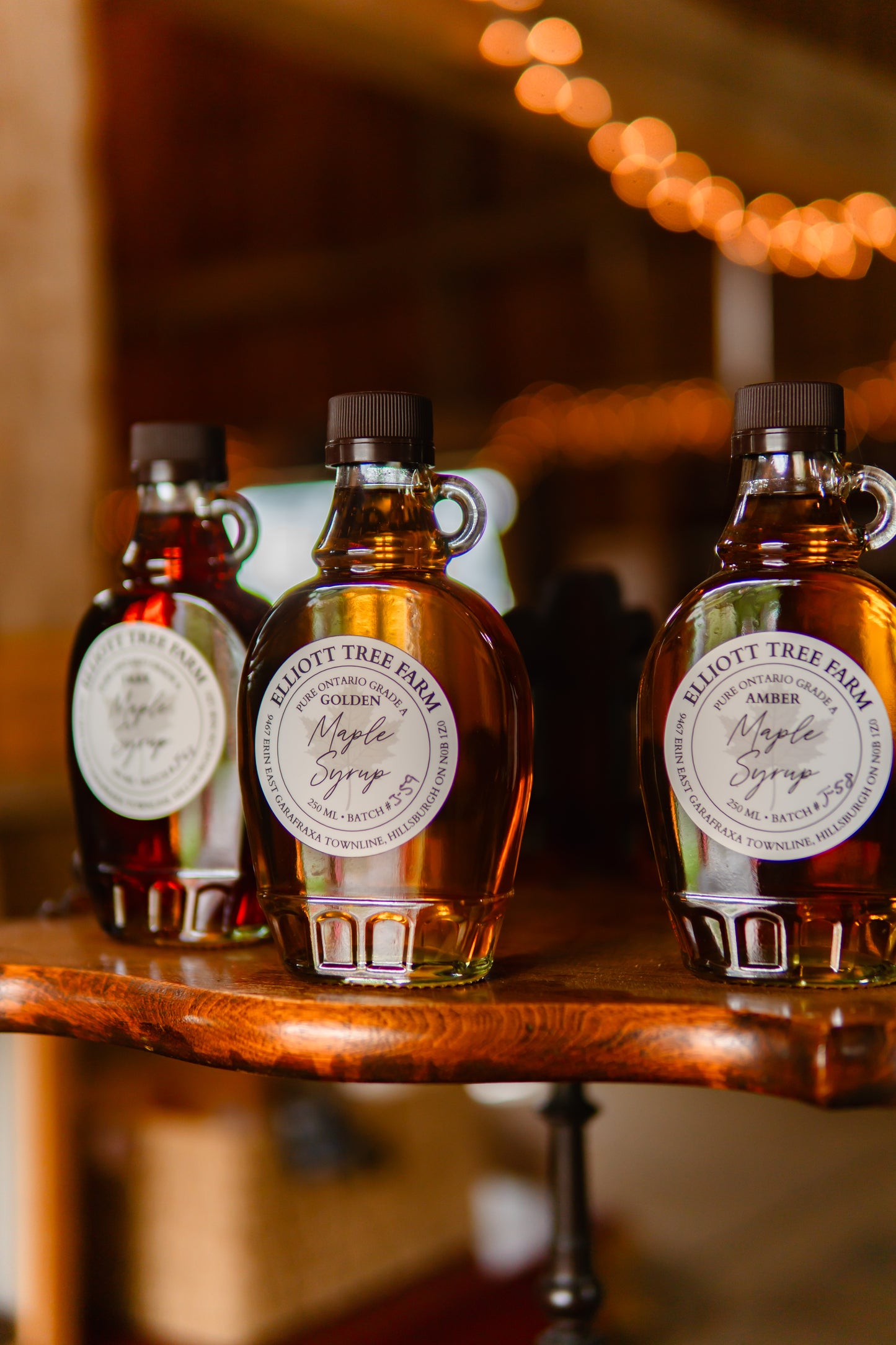 Maple Syrup Farm Experience & Tasting