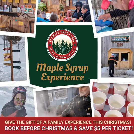 2026 Maple Syrup Experience