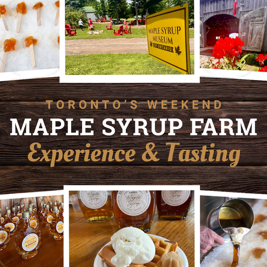 Maple Syrup Farm Experience & Tasting