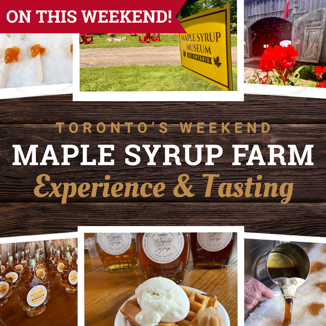Maple Syrup Farm Experience & Tasting
