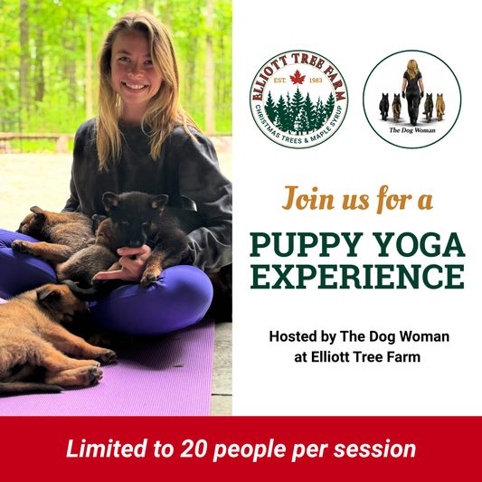 Puppy Yoga Experience
