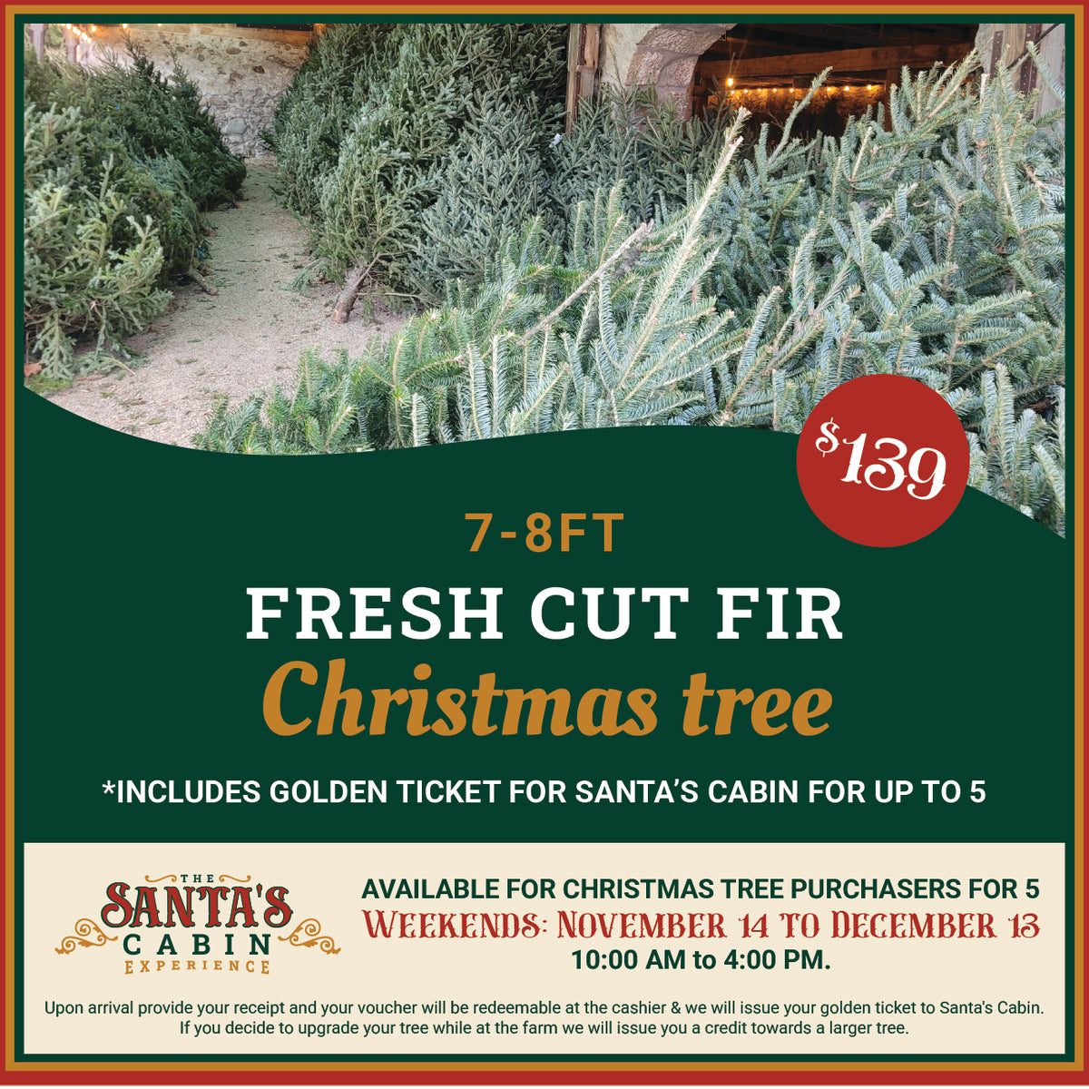 7-8ft Fresh Cut Fir Christmas Tree