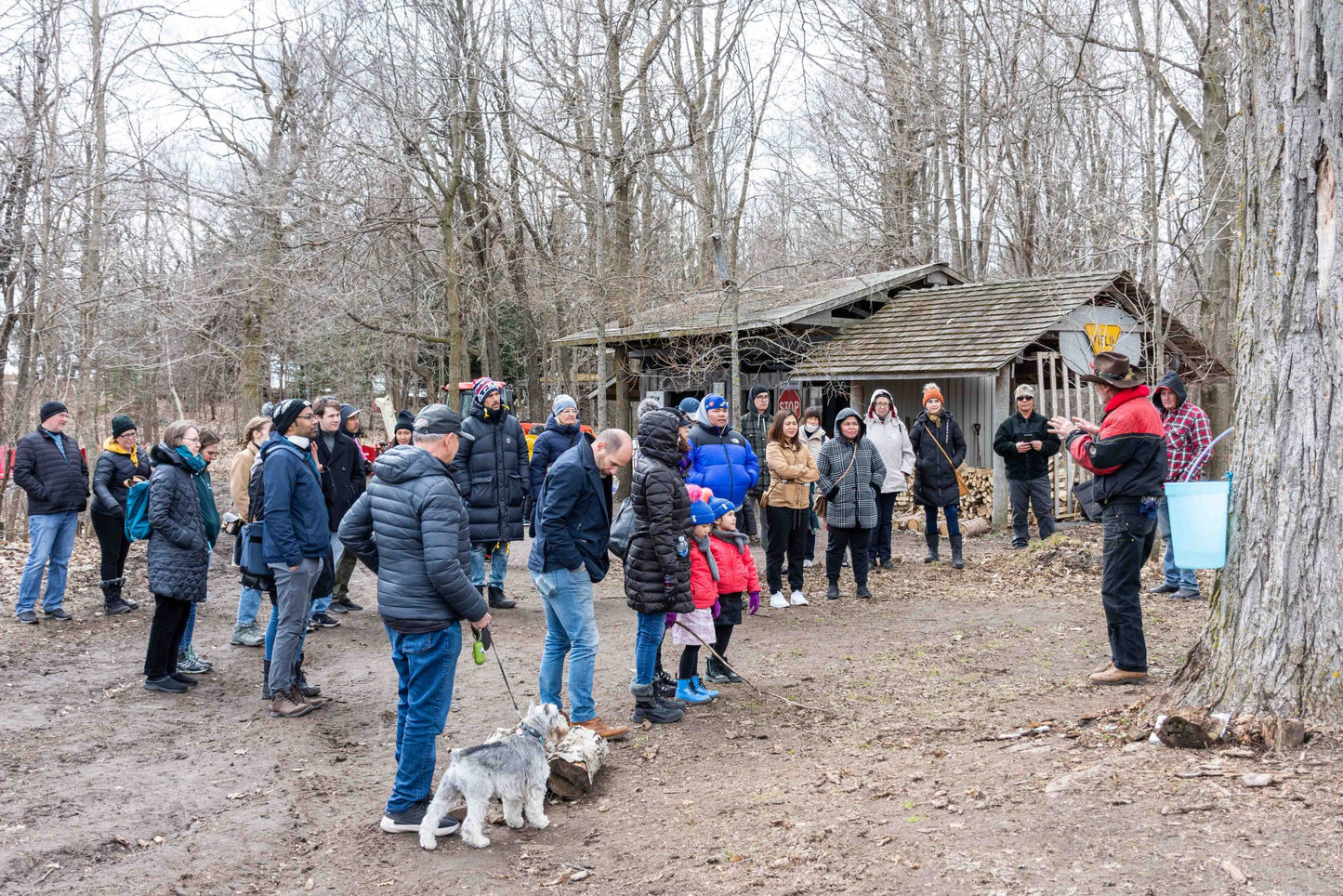 2026 Maple Syrup Experience